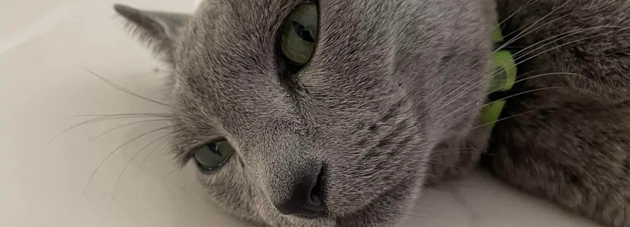 Martin Virgil Cover Image