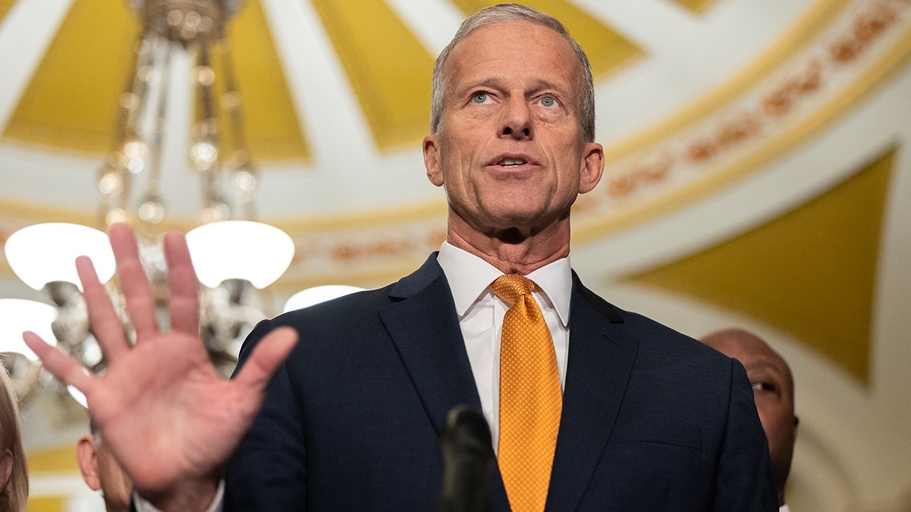 Reporter's Notebook: GOP eyes DHS deal funding ICE probes, but not removals, as shutdown drags