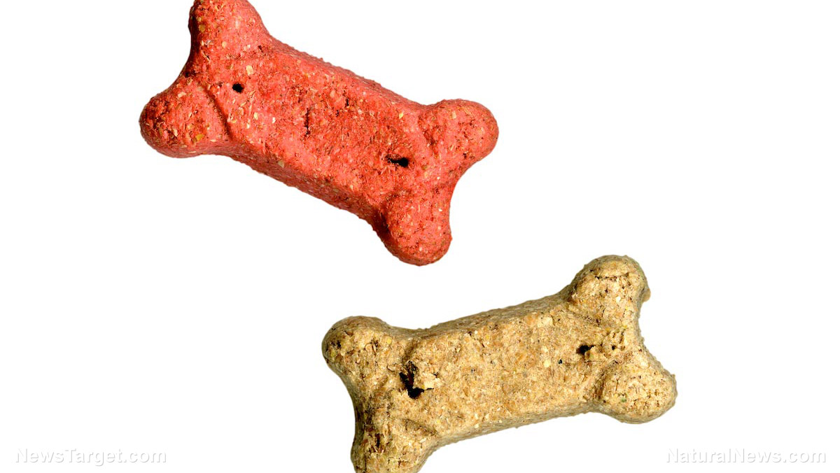 “The Truth About Pet Cancer” on BrightU: Experts link pet cancer to mitochondrial damage from toxins like fluoride   – NaturalNews.com