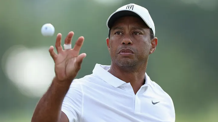 Sportscaster Jim Gray Says Tiger Woods' DUI Arrest Is 'Another Cry For Help'