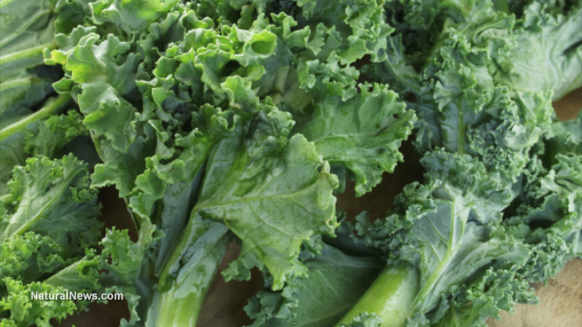 Kale: The superfood that outshines milk and boosts health   – NaturalNews.com