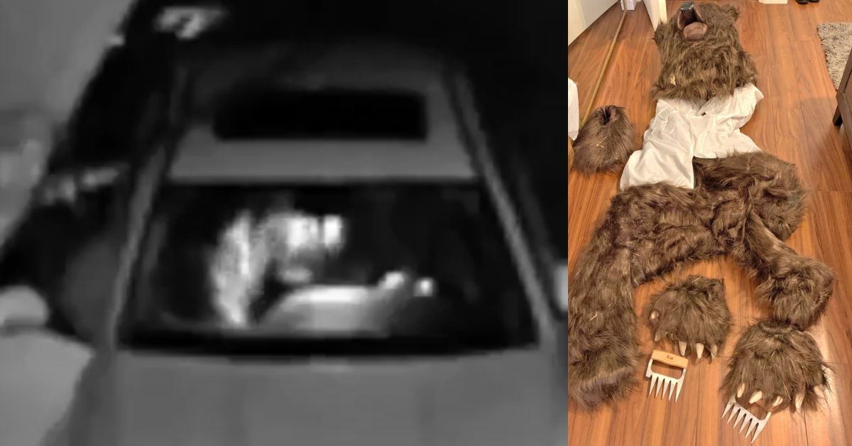 'Clearly a Human in a Bear Suit': California Trio Jailed for Staging Fake Bear Attacks on Rolls-Royce and Mercedes in $142K Insurance Scam (VIDEO) | The Gateway Pundit | by Cassandra MacDonald