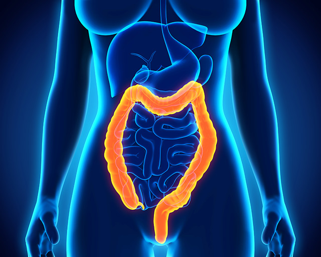 “Terrain: The Workshops” on BrightU: Why a clogged colon means you are never truly hydrated   – NaturalNews.com