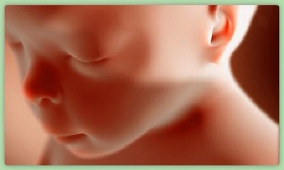 New Report Shows Abortions Killed 99,470 Babies in January - LifeNews.com