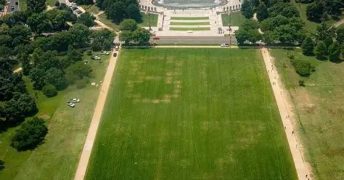 Anti-Trump Vandals Etch '86 47' Threat into National Mall Grass Near White House, Federal Authorities Launch Investigation * The Gateway Pundit * by Cassandra MacDonald