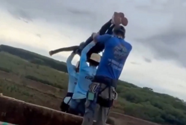 HORROR: Workers Throw Thrill-Seeking Woman Off Bridge in Brazil But Forget to Attach the Rope (VIDEO) * The Gateway Pundit * by Mike LaChance