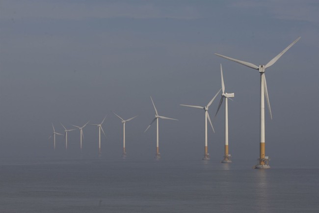New York Sues to Save a Costly Wind Dream