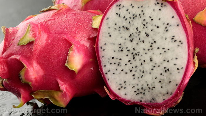 Beat the heat: 17 summer foods to keep your body cool and adapted   – NaturalNews.com