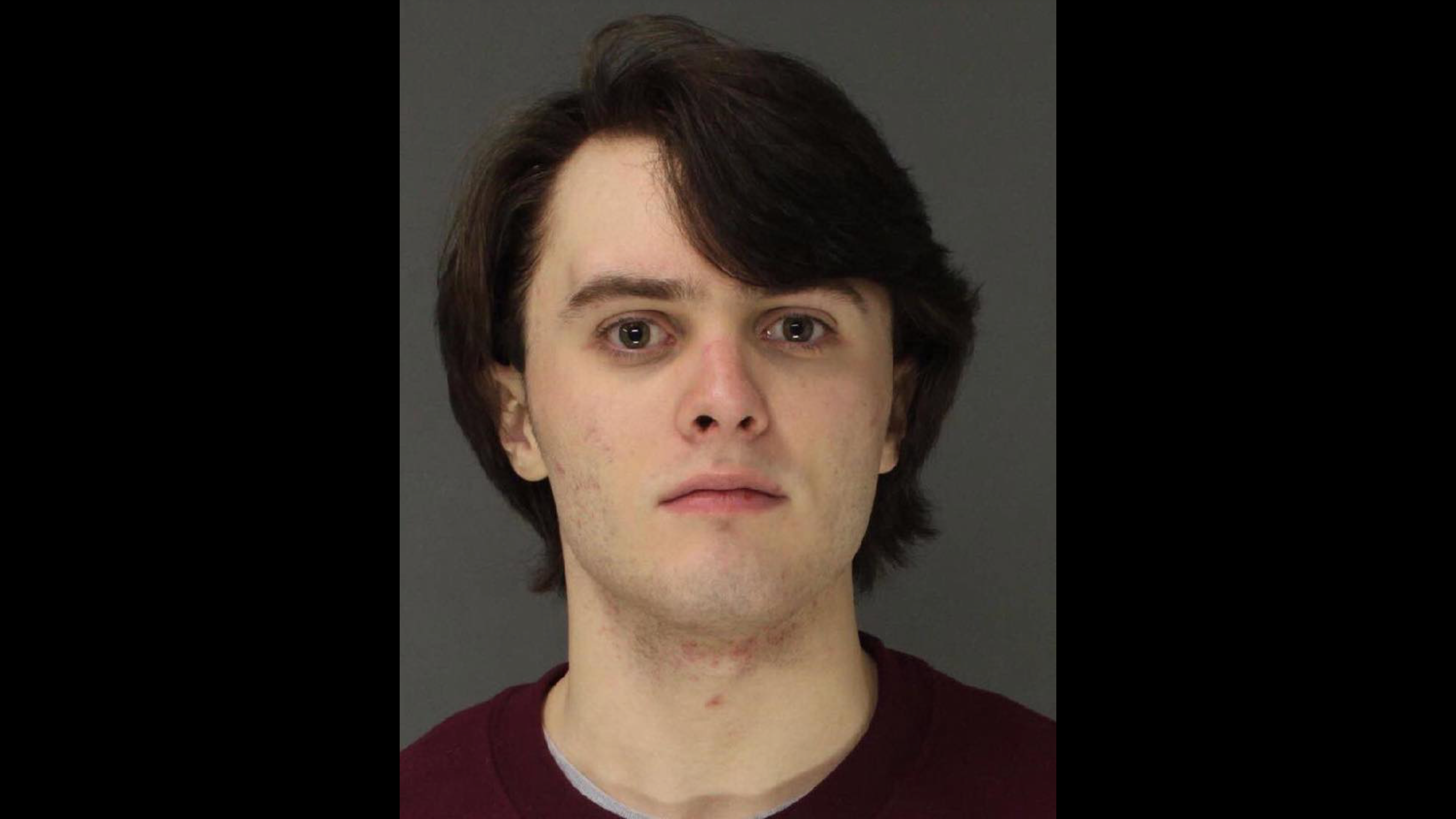 Anti-Ice Activist Accused of Leaving Agent with Horrific Bite Wounds Previously Accused of Distributing Child Porn * The Gateway Pundit * by Margaret Flavin