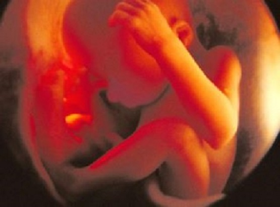What Can the Pro-Life Movement Do Now to Save Babies From Abortions? - LifeNews.com
