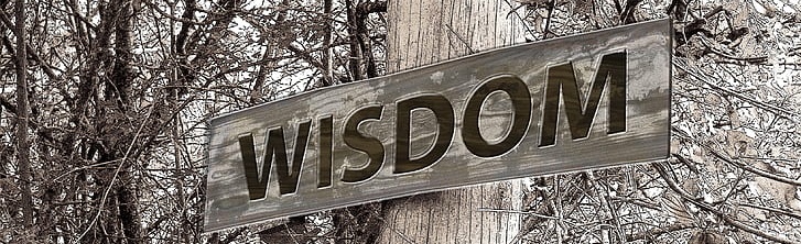 Dems, Leftists Providing Knowledge of Intentions … What’s ‘Wise’ Way to Respond? – Striker Journal