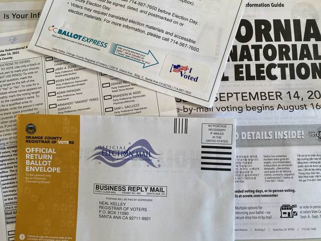 Wait Till You See What ‘IDs’ California Accepts for Voter Registration