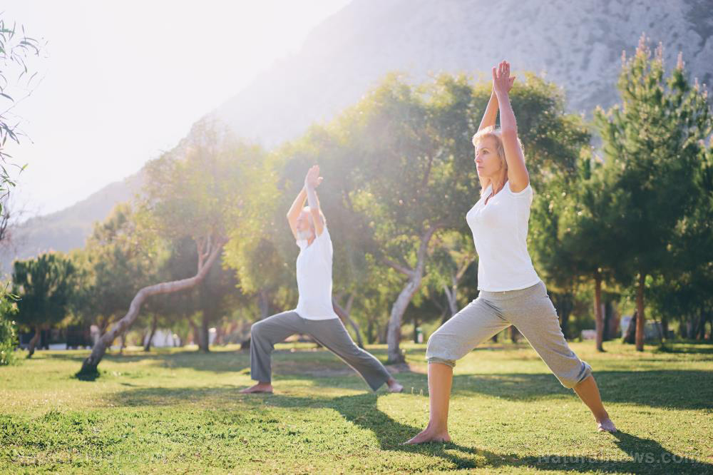 The arms race against age: Why bodyweight exercises are the new frontier for seniors seeking strength   – NaturalNews.com