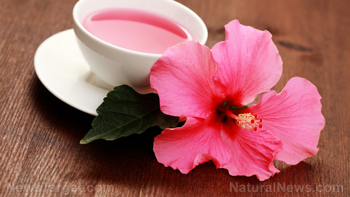 Garlic and hibiscus tea for blood pressure: What the science really says   – NaturalNews.com