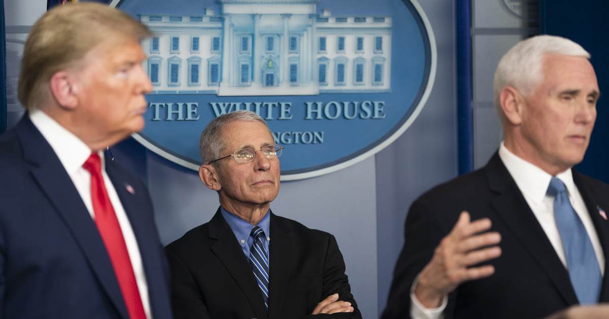 Trump Blasts Fauci During Senate Hearing, Defends Record - The Joe Messina Show