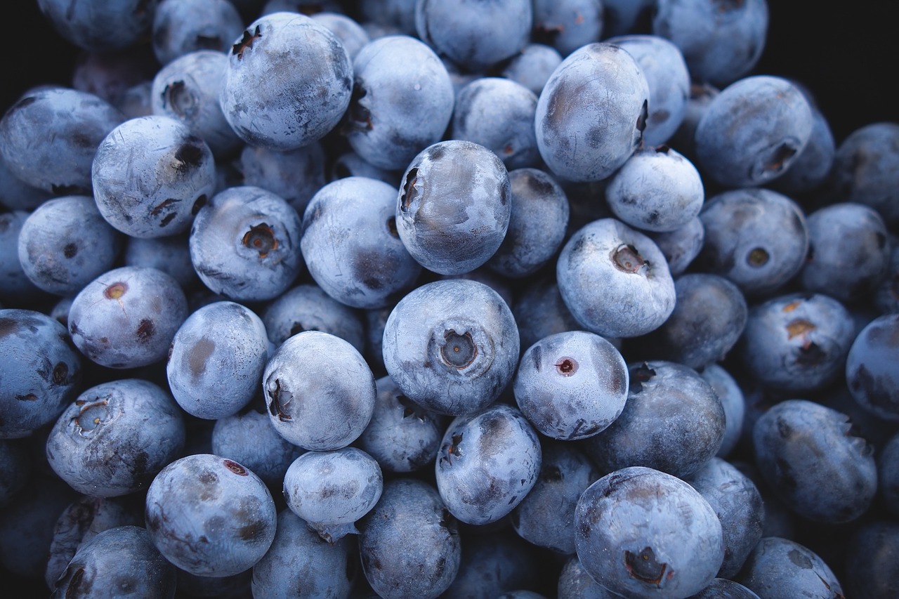 Beyond blueberries: These foods are packed with antioxidants   – NaturalNews.com