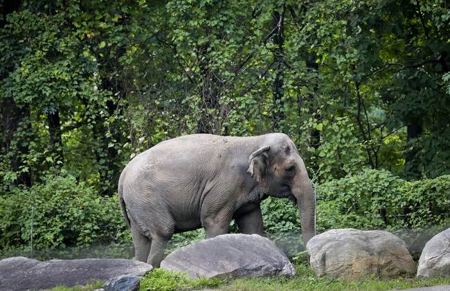 Anti-Hunting Group in Michigan Loses Bigly in Court