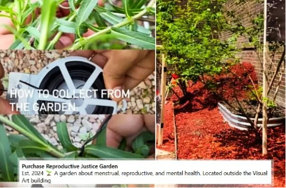 College Opens “Abortion Garden” With Plants That Can be Used to Kill Babies - LifeNews.com