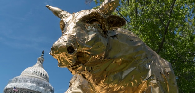 Dangers of Political Indifference … and of Political Idolatry – Striker Journal