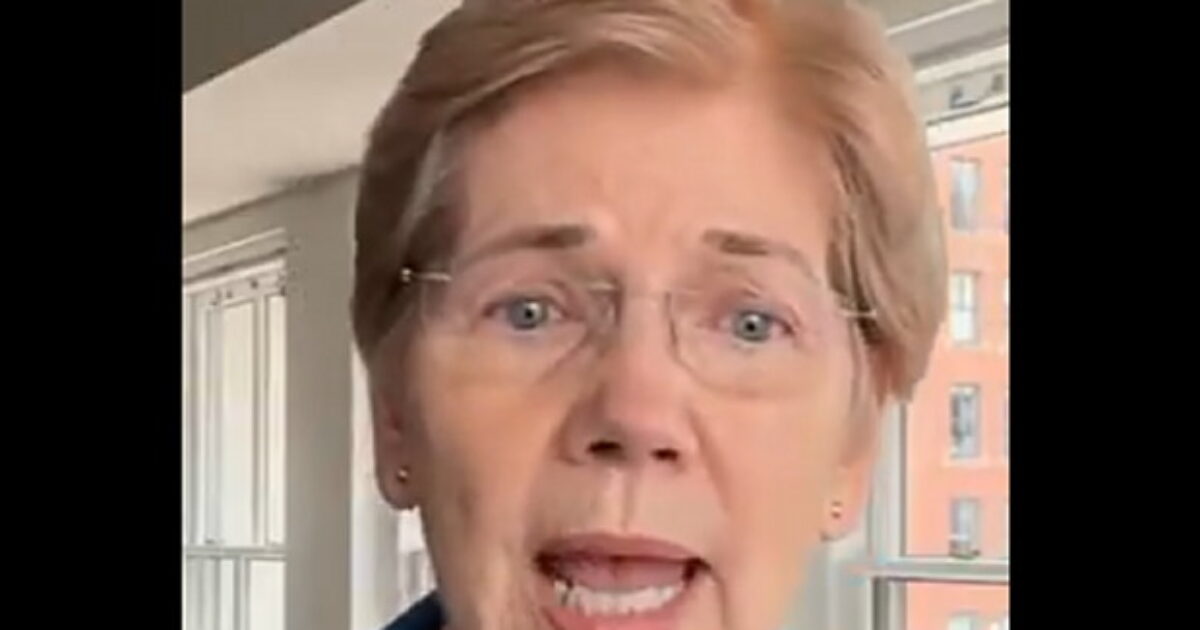 Elizabeth Warren Endorses Radical DSA Candidate in Michigan Senate Race, is Reminded of Utter Failure of Her Platner Endorsement (VIDEO) * The Gateway Pundit * by Mike LaChance
