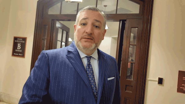 Ted Cruz demands Fauci face jail time, labels him as America's 'most damaging bureaucrat'
