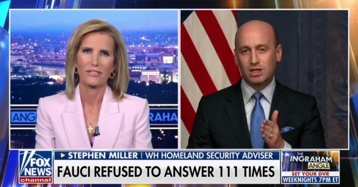 Stephen Miller Goes Off on Dr. Fauci After Explosive Senate Hearing (VIDEO) * The Gateway Pundit * by Cristina Laila