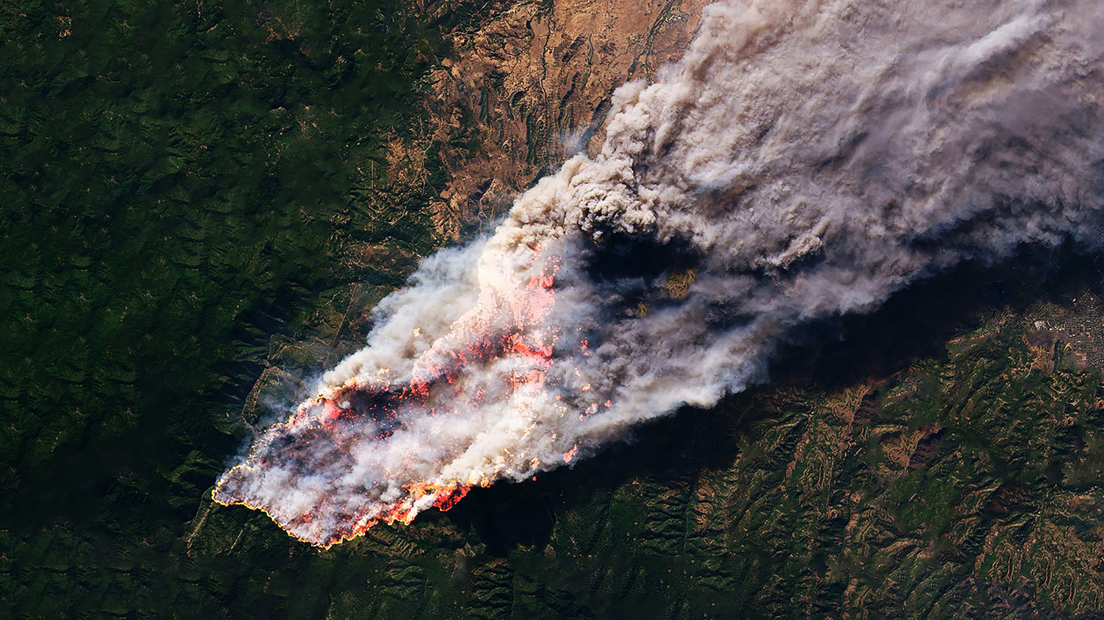 FireSat Satellites Detect Wildfires Early Before They Spread