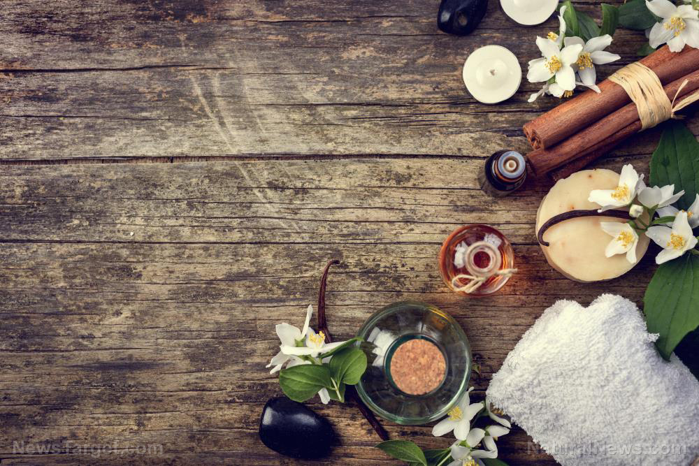 The shift toward plant-based home care nobody’s talking about   – NaturalNews.com