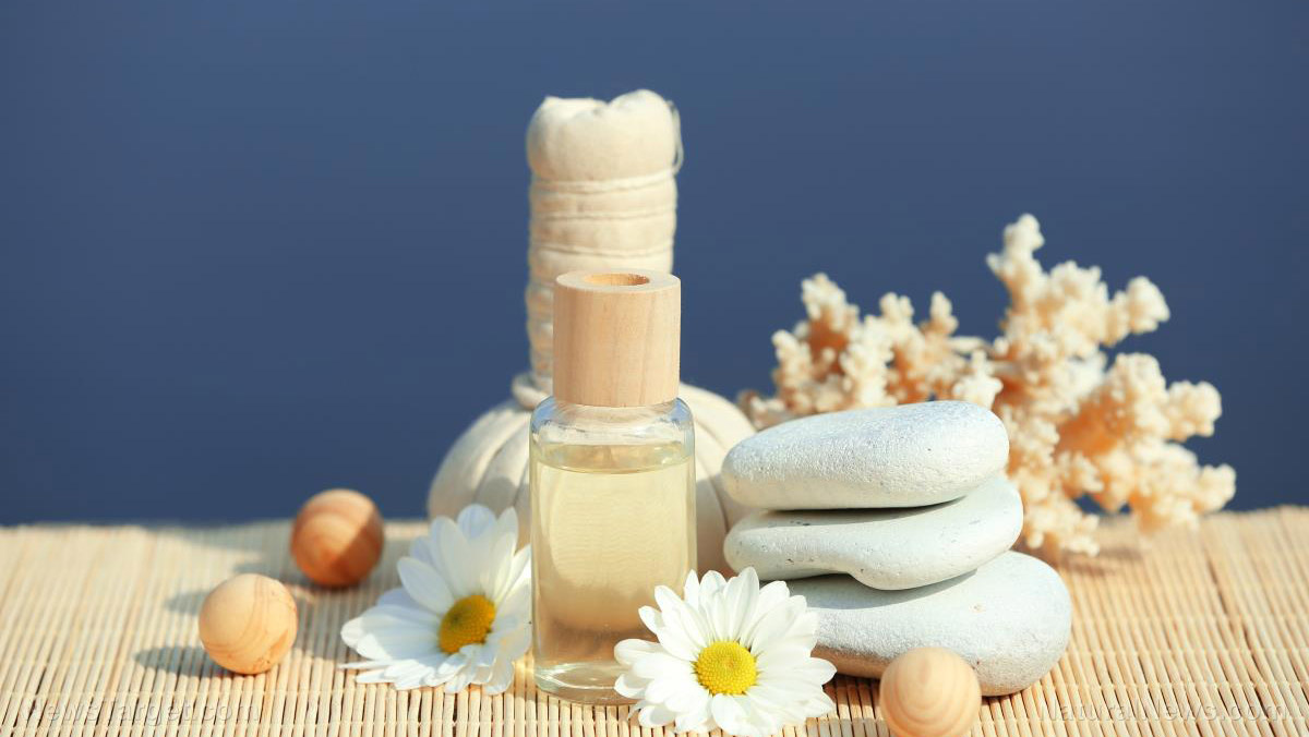 Organic cypress essential oil: A minimalist approach to everyday aromatherapy   – NaturalNews.com