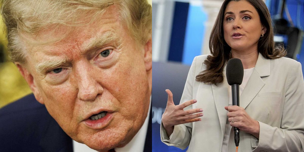 Trump Rapid Response Team Draws Fresh Attention Over Natalie Harp