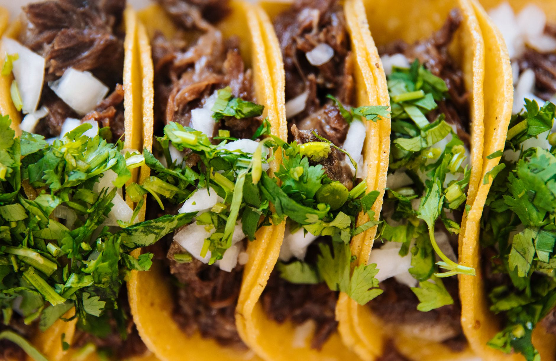 Fire, Masa, and Memory: Taco Villa’s Quietly Perfect Rival Is Hiding on 34th Street