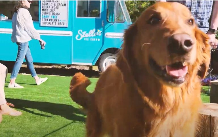 Green Acres Food Truck Park Hosts ‘Pups, Putts & Pints’ Dog, Golf and Beer Festival