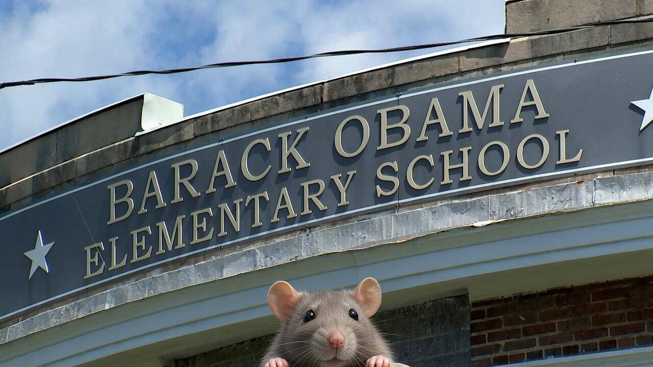 Barack Obama Elementary School Closed Due To Mold And Rodents - modernity