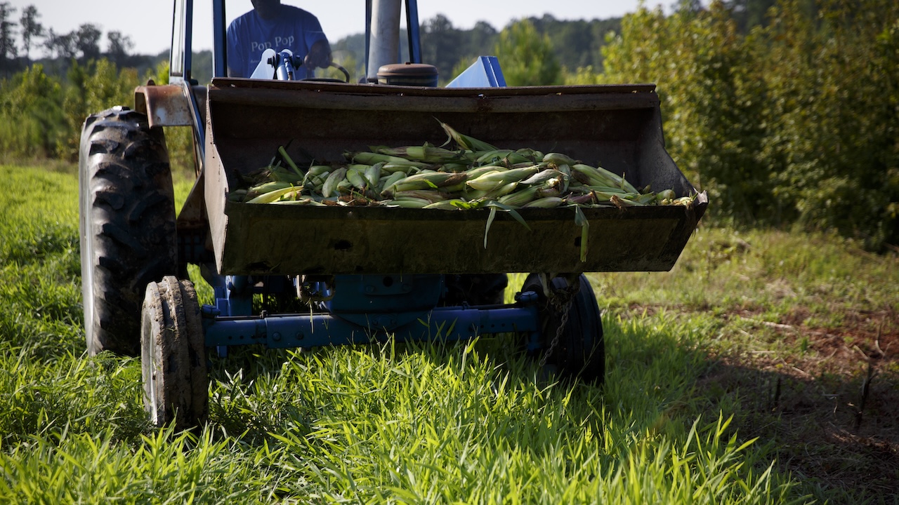 Virginia's Low Groundwater Levels Amid Ongoing Drought