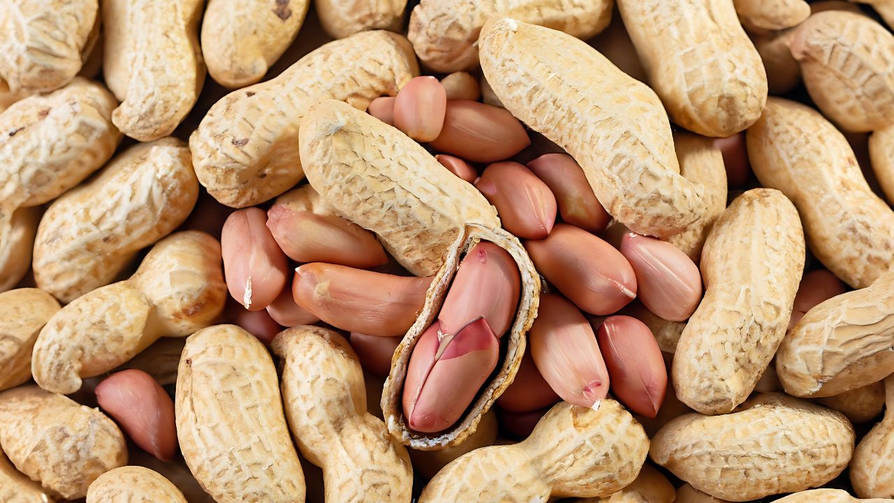 Fecal Transplant Capsules Show Promise For Peanut Allergy Relief