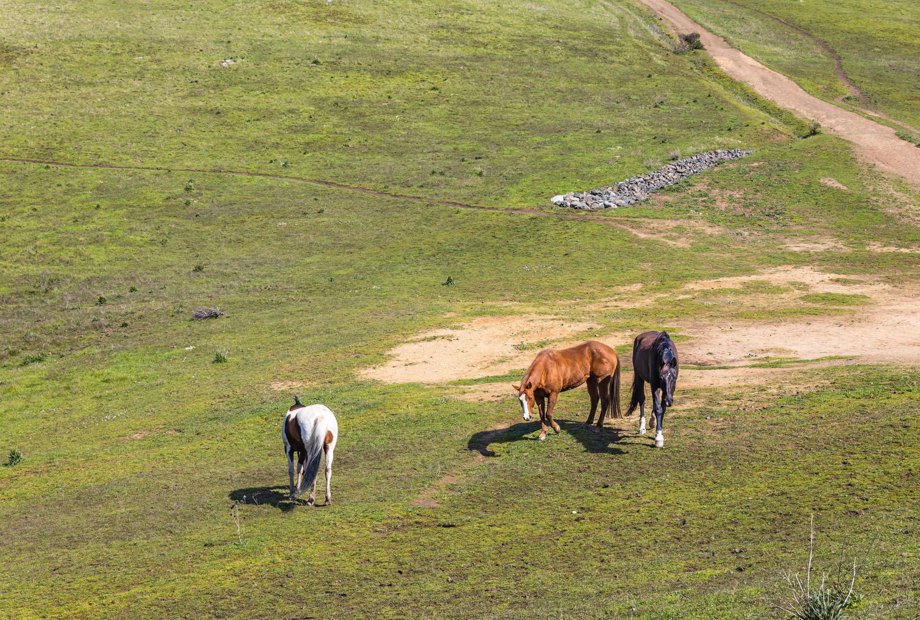 Tread & Terrain: Why Durango’s Horse Gulch Trails Are a Mountain Biker’s Purest Reward
