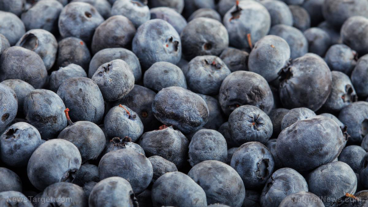 Daily blueberries linked to lower blood pressure, healthier heart
