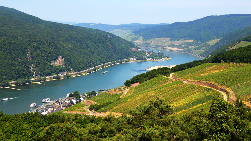 German weather site’s viral Rhine temperature reading draws mockery over flawed method