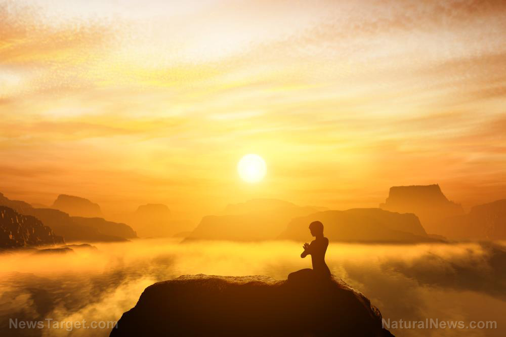 “ATB Personal Restoration Class” on BrightU: Mapping the hidden pathways between body, mind and spirit   – NaturalNews.com