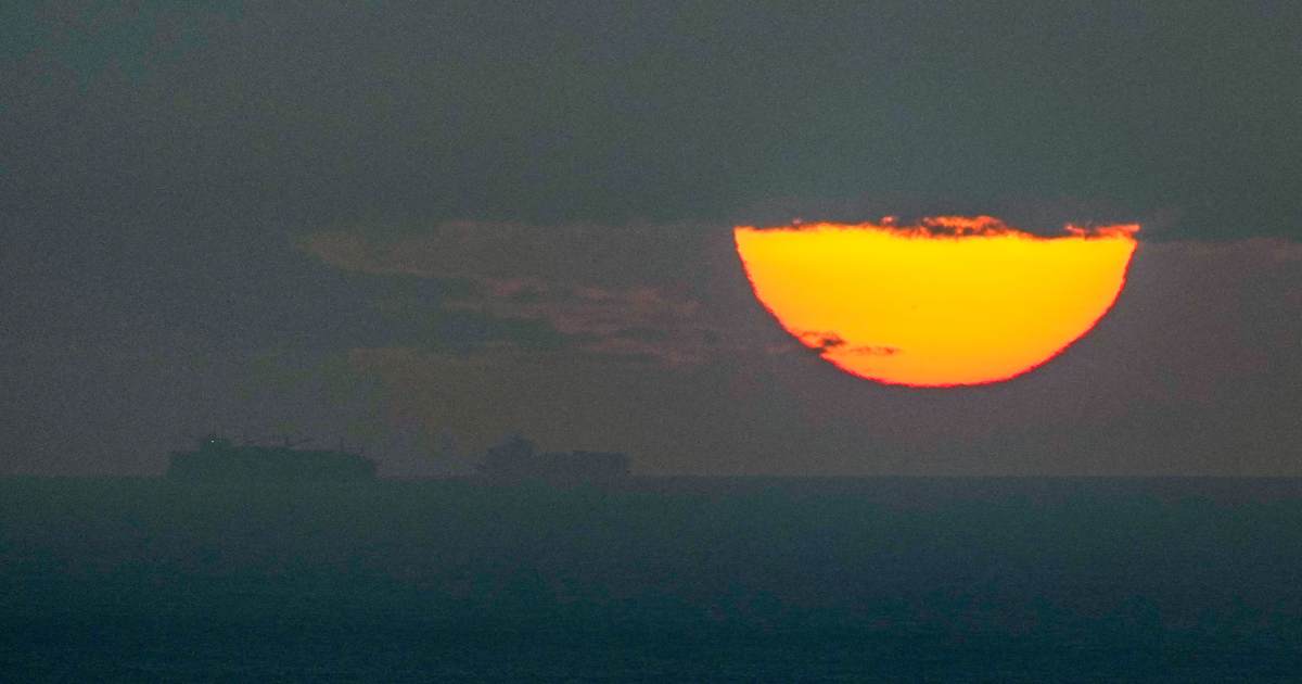 Trump Demands Senate Pass Sunshine Act Now