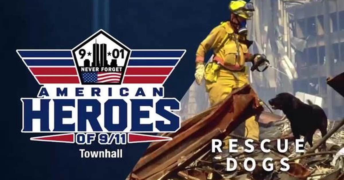 9/11 Search Dogs, 300 Deployed, Remembered As American Heroes