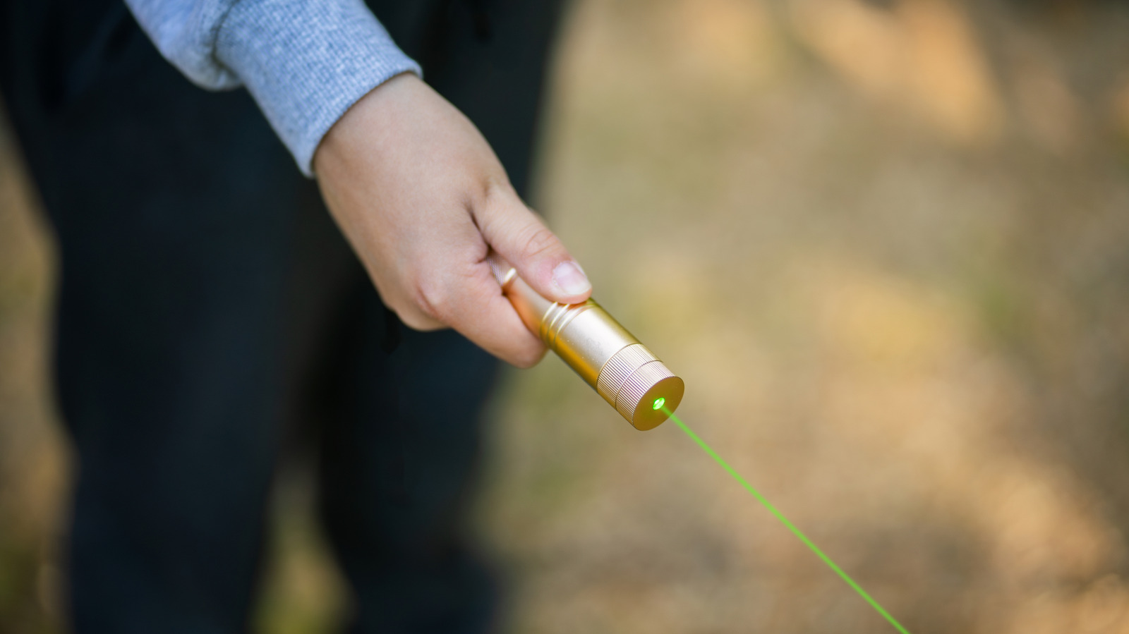 Can Green Lasers Damage Flock Cameras, What Drivers Need To Know