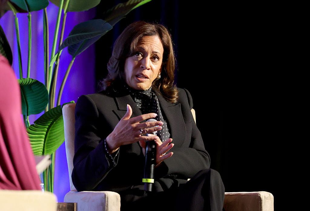 Former VP Kamala Harris Still Spooking Donors for 2028