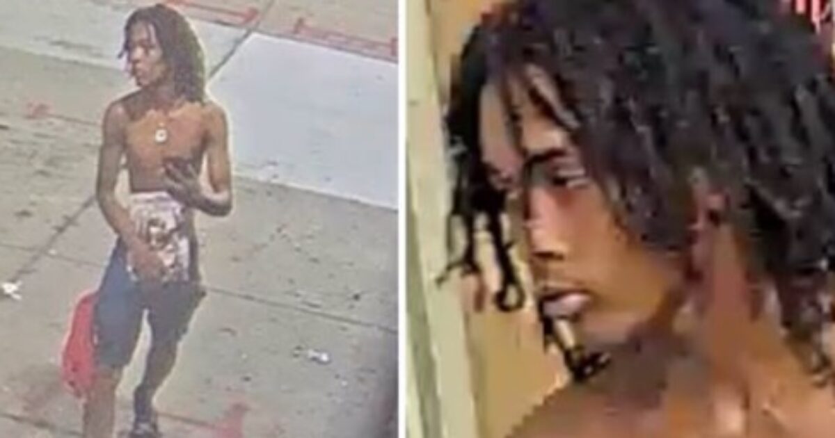 SHOCK VIDEO: Shirtless Youth Executes Innocent Woman Right Outside a Detroit Liquor Store in ‘Random’ Attack – Woman’s Niece Also Injured * The Gateway Pundit * by Cullen Linebarger