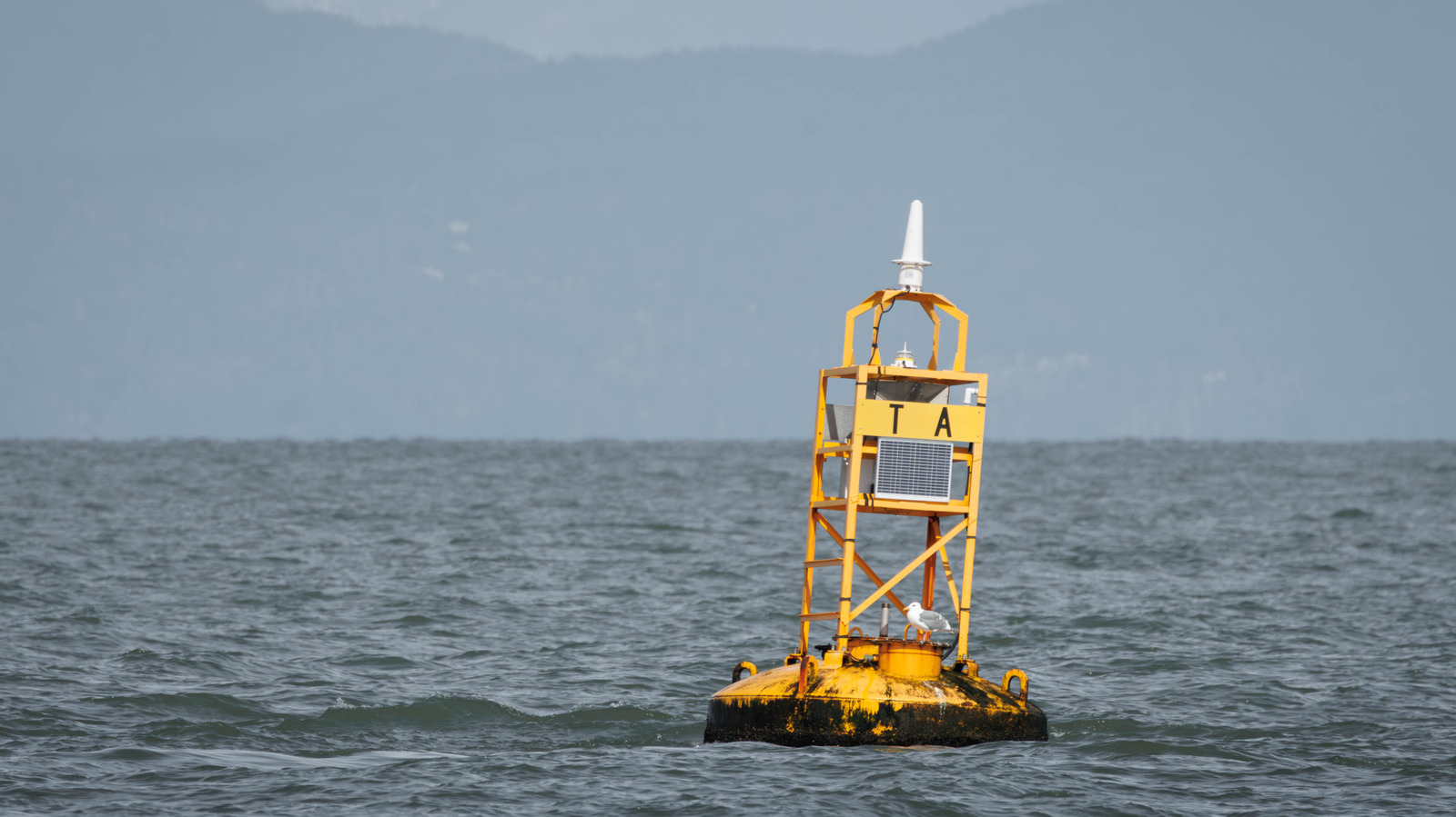 What Yellow Buoys Mean For Boaters, And How To React