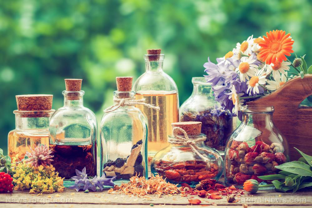 Rethink your daily fragrance ritual with organic cypress essential oil