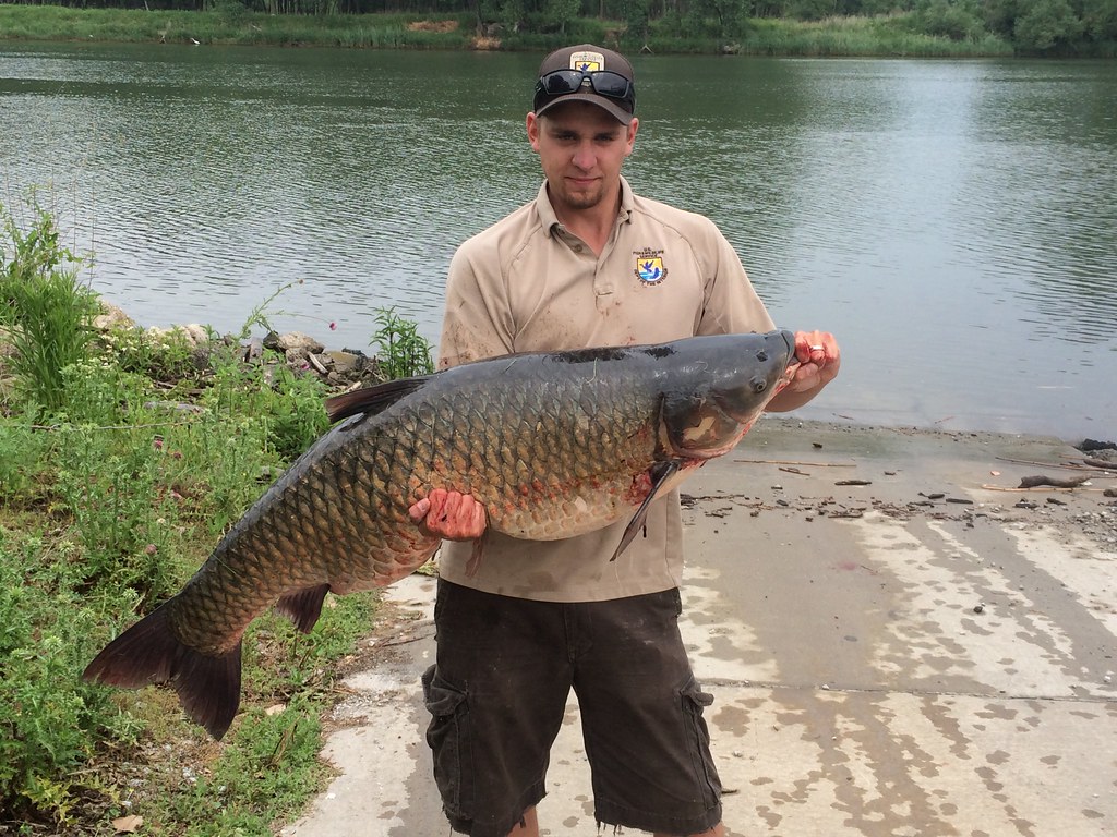 Sup Dogs, Deep History: An Afternoon at Calumet Fisheries