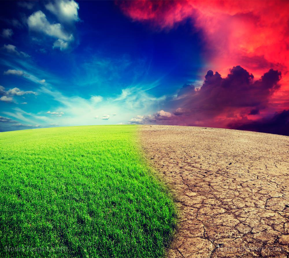 Met Office’s vanishing wind chapter raises fresh questions about climate data   – NaturalNews.com