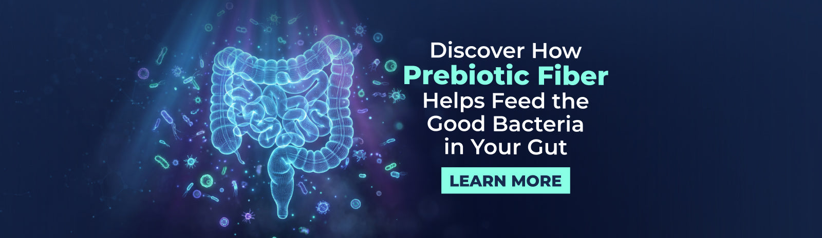How Prebiotic Fiber Helps Feed the Good Bacteria in Your Gut  – Health Ranger Store