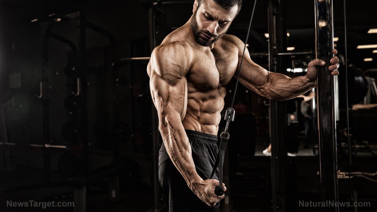 Exercise molecule L-BAIBA reveals how muscles adapt to training, offering new hope for Type 2 diabetes   – NaturalNews.com